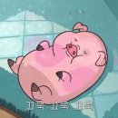 지족리해 이미지