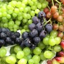 포도 - 포항시 북구 중앙상가4길 17 | 포도
