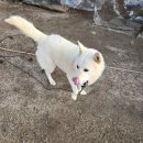 연화경로당 이미지