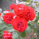 생초초등학교 이미지