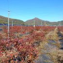 산들농장2 이미지