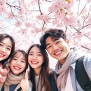 남원역공영주차장 | 이번주 놓치면 후회할, 꽃구경 사람 적은 비밀 벚꽃 명소 Best