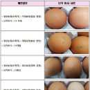 계림농장 이미지