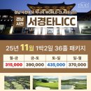 타니스테이 이미지