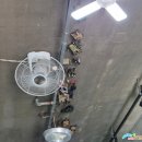 현이네칼국수 이미지