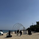 이마트24 강릉중앙점 | 강릉 여행 코스 강문해변 머슬비치/도깨비 촬영지/안목해변/주문진bts버스정류장/중앙시장 오징어순대...