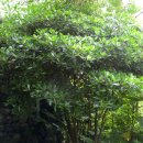 설천초등학교 이미지