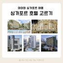 동양관광호텔 | 아이랑 싱가포르 여행 호텔 고르기 호텔 고민 (풀러튼, 콘래드, 팬퍼시픽, 만다린)