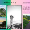 여수여객선터미널 이미지