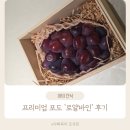 농업회사법인 (주)이목농원 | 프리미엄 포도 로얄바인 아이와 함께 즐긴 후기