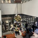 다라1천 이미지