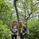 💖김해백두산악회 제790차 정기산행 💖 이미지