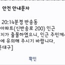 반송 멧돼지 출몰 ...ㅠ 이미지