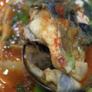 박쏘가리 이미지