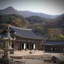 순천-67호 네이버블로그