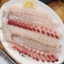 팔팔활어회팔팔물회전문점 이미지