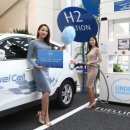 수정깨끗한나라 이미지