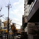 스케네 브라운