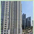 인계자이강남공인중개사사무소 | 메이플자이 생각보다 더 이상한 곳이었다