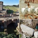 모아모아빨래터 이미지