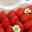 학기농장 이미지