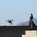 위크위크 스포츠경향