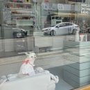 세블리네일 | 광주 농성동 네일 추천｜서리블리네일 여름 자석 패디큐어 후기, 유지력까지 만족!