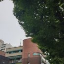 백제 추어탕 이미지