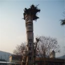 신반정보고등학교 이미지