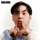 노을을 사랑하는 의 이미지