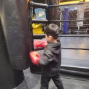 엘리트 복싱 Gym | 고양시복싱, 내 수준에 딱 맞는 맞춤 지도! 성록복싱짐 체험 후기