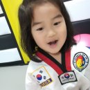 남부태권도장 이미지