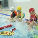 블루마린 수영장 이미지