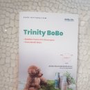 보보펫 | [보보펫] 새싹보리 애견 미스트 :: 몸과 귀 모두 사용 가능한 미스트!