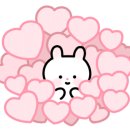 내 품안의 반려견 이미지