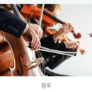 아인클랑음악학원 이미지