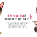 입어보개