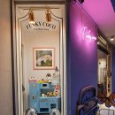 코코애견샵 이미지