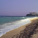 소노펠리체 델피노 이미지