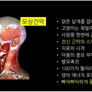 로벳