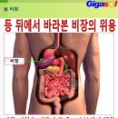 유난히 목주름이 많으면-비장의 문제 이미지