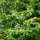 (주)태위 이미지