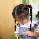 산들반∩^ω^∩오감-비단결 누에🐛 이미지