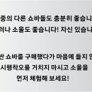 대웅모터스