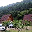 광치자연휴양림 이미지