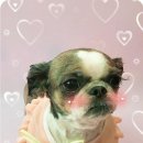 소사방앗간 이미지