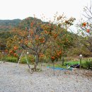 설악마루펜션 이미지