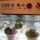 모리야채 이미지