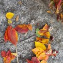 아이림유치원 이미지