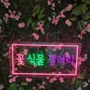 꽃식물갤러리